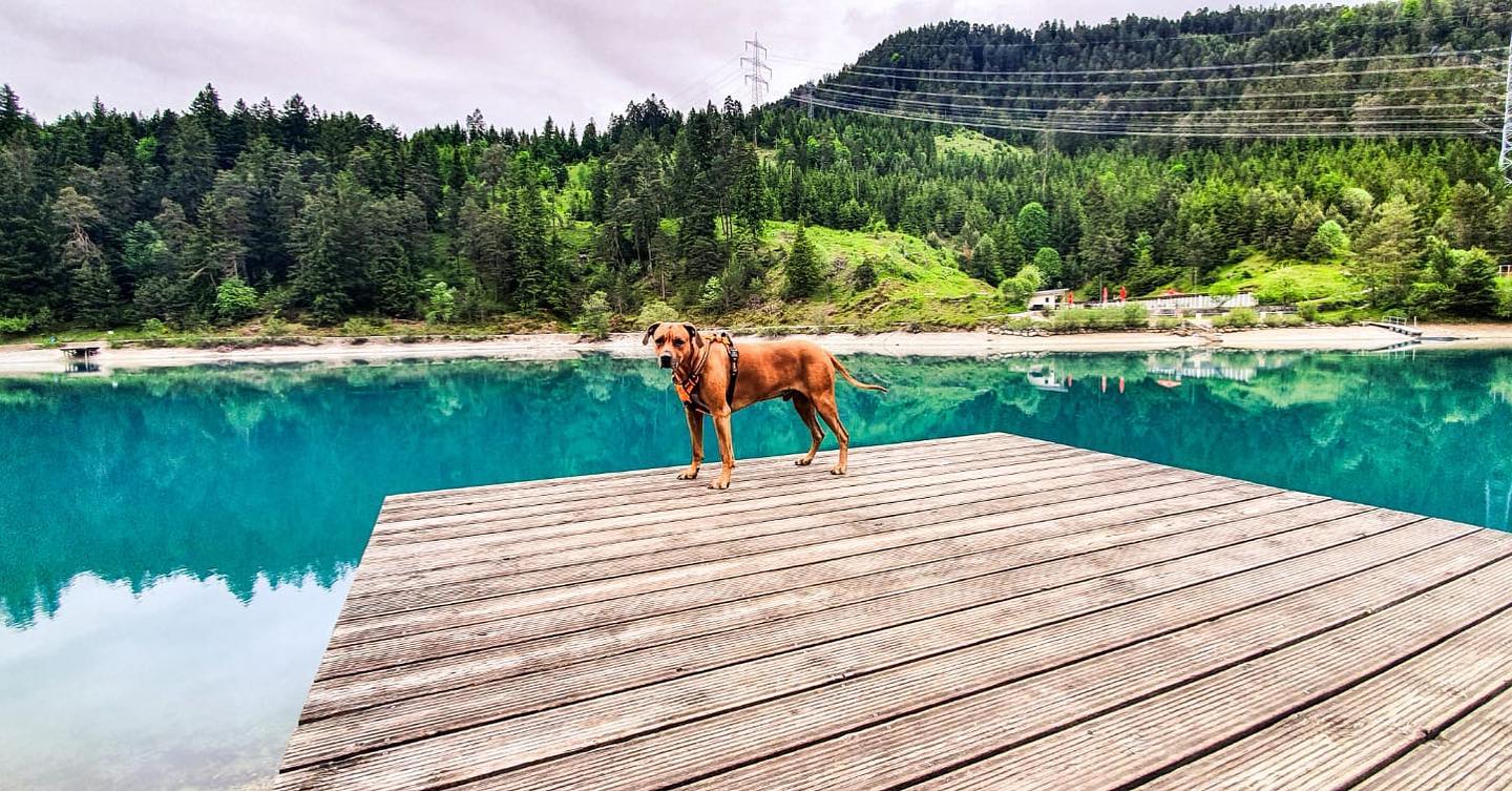 Durchatmen für den Kampf…. Ich liebe solche spontanen Tapetenwechsel… 

Immer wieder ein Lichtblick, wenn man genau weiß wieder 2 Tage platt zu sein nach der Chemo….
Und das jede Woche… für immer …. 

##krebsblogger #krebsisteinarschloch #krebskämpfer #krebskrank #cancer #cancerfighter #lifestyle #lifeisgood #lifeisbeautiful #lifecoaching #lifegoals #lifeofadventure #love #selfie #healthylifestyle #healthy #gesundheit #gesundleben #krank #krankheit #lebensfreude #lebengenießen #lebensqualität #lebedeinleben #lebensmotto #fickdichkrebs #darmkrebs