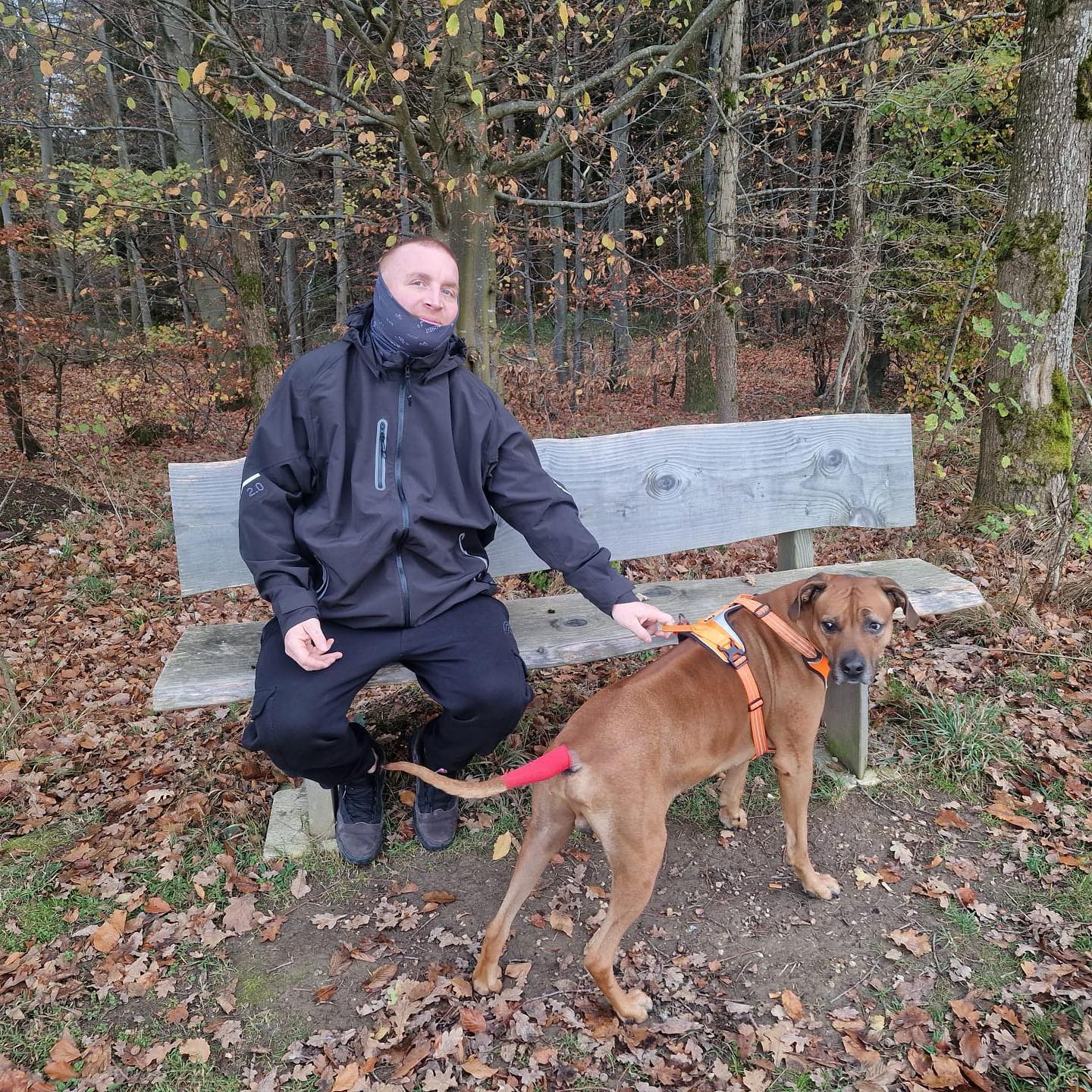 Meine Lieblingsjahreszeit 

Die Tage werden kürzer und die coolen Klamotten kommen wieder zum Einsatz. Ich liebe wie die Natur sich verändert, ich liebe die Luft und auf die Melancholie und die Ruhe. Mein heimlicher Favorit ist ja Nebel auf der Wiese. 

Wie scheissegal war mir das oft .. jetzt sehne ich mich danach und bin einfach nur da und schau zu. 

Einfach ne geile Zeit und ich hab es sogar geschafft fast 500m zur nächsten Bank. Stolz wie Bolle 🙏🤞 

Wenn man seine Erdung gefunden hat, ist man in reinen und kann den ganzen Dreck mal vergessen und frische neue Energie tanken. 

Oft gesucht diese Orte … dabei sind sie nur 500m weg. 

#krebsisteinarschloch#darmkrebs#krebskämpfer #krebskrank #cancer #cancerfighter #lifestyle #lifeisgood #lifeisbeautiful #lifecoaching #paliativ #darmkrebs#lifeofadventure #love #selfie #healthylifestyle #healthy #gesundheit #gesundleben #krank #krankheit #lebensfreude #lebengenießen #lebensqualität #lebedeinleben #lebensmotto #fickdichkrebs #zitate