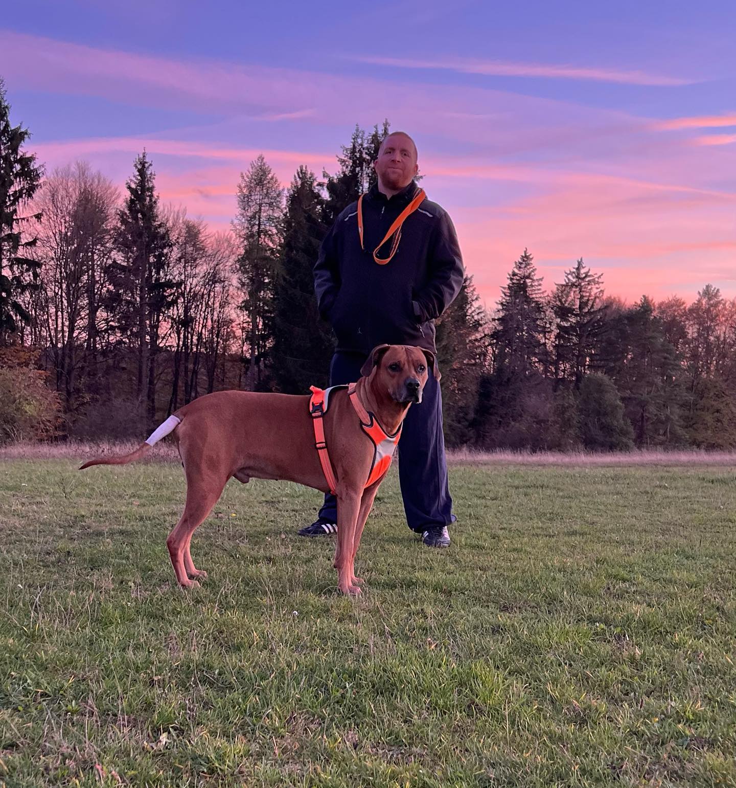 Seit langem kann ich heute mal behaupten mich wirklich pudelwohl zu fühlen. Mein Kopf ist klar und fokussiert, meine Gedanken lassen endlich wieder Licht durch. Was für ein Horrorfilm. Intensivstation, der Knochenmann wollte wieder klingeln aber hat ne Backpfeife bekommen. 

Jetzt heißt es wieder Kraft tanken, den Herbst genießen und sofern es mir möglich ist, raus zu gehen. 

#krebsisteinarschloch#darmkrebs#krebskämpfer #krebskrank #cancer #cancerfighter #lifestyle #lifeisgood #lifeisbeautiful #lifecoaching #paliativ #darmkrebs#lifeofadventure #love #selfie #healthylifestyle #healthy #gesundheit #gesundleben #krank #krankheit #lebensfreude #lebengenießen #lebensqualität #lebedeinleben #lebensmotto #fickdichkrebs #zitate