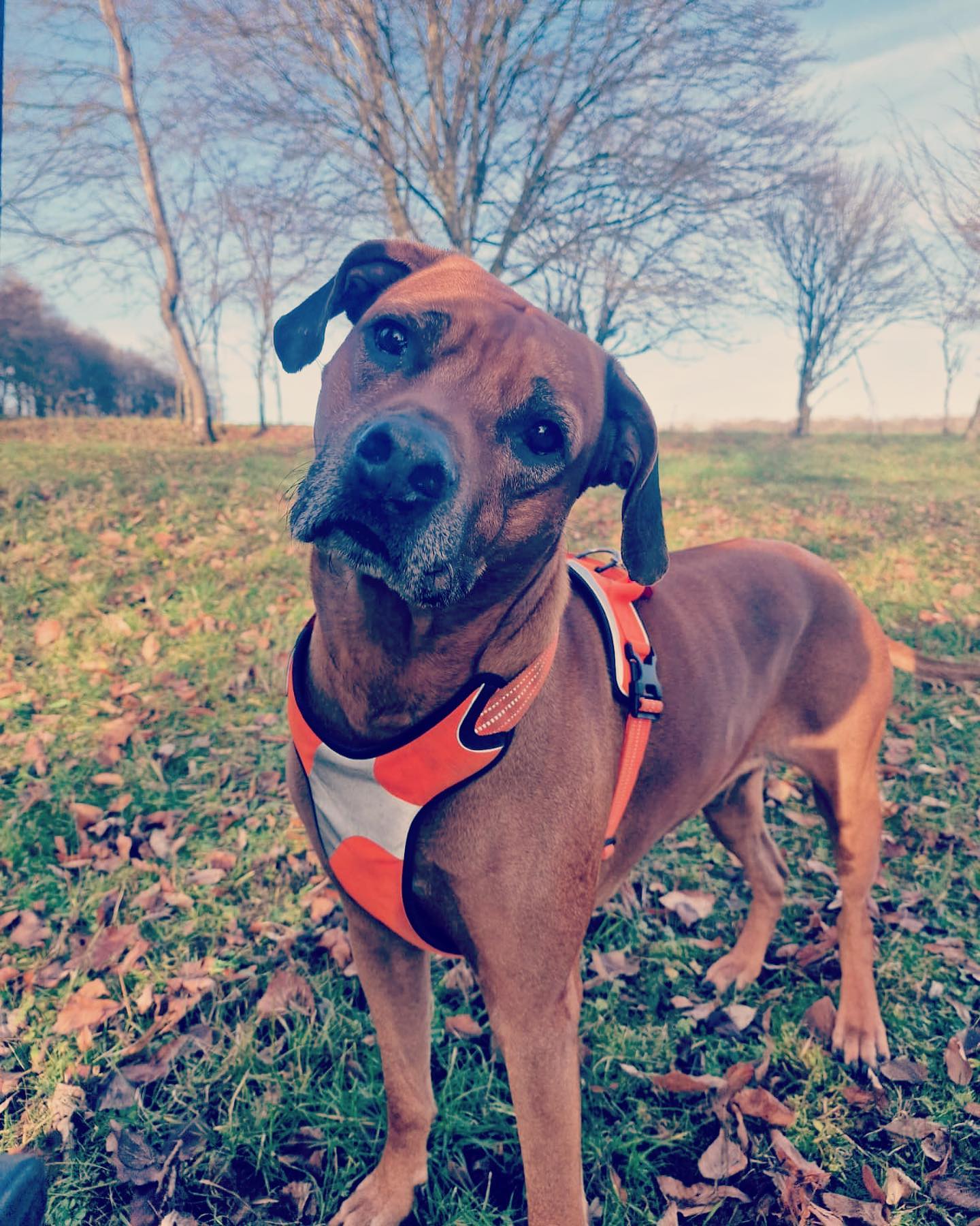 Ich wünsche euch allen einen guten Rutsch.

Liebe Grüße 

🫶Jogi 🫶

#krebsisteinarschloch #darmkrebs#krebskämpfer #krebskrank #cancer #cancerfighter #lifestyle #lifeisgood #lifeisbeautiful #lifecoaching #paliativ #darmkrebs#lifeofadventure #love #selfie #healthylifestyle #healthy #gesundheit #gesundleben #krank #krankheit #lebensfreude #lebengenießen #lebensqualität #lebedeinleben #lebensmotto #fickdichkrebs #zitate