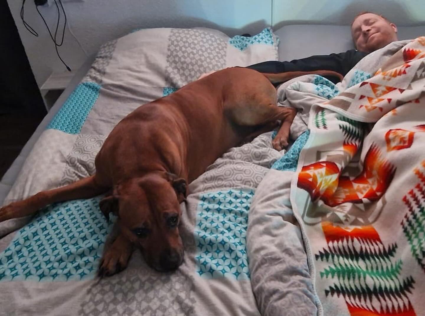 Ihr glaubt nicht wie gut einem sowas tut. Du kannst nix machen, alles tut weh und dir geht’s grad einfach scheisse in diesem Moment. Dann legt sich so nen Typ neben dich und ist einfach nur da. Mein bester Freund. Das ist doch soooo schön einfach und gibt Kraft.

Mehr braucht es nicht ... Danke @tantejani danke Jogi

#krebsisteinarschloch #darmkrebs#krebskämpfer #krebskrank #cancer #mutmacher #cancerfighter #lifestyle#cancerblogger #lifeisgood #lifeisbeautiful #lifecoachin #palliativ #darmkrebs#lifeofadventure #dasistpalliativ #selfie #healthylifestyle #healthy #gesundheit #gesundleben #krank #krankheit #lebensfreude #darmkrebskämpfer #krebskrank  #cancerfighter #lebedeinleben #lebensmotto #fickdichkrebs #zitate 
#fckcancer